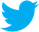 Twitter 32